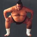 Sumo